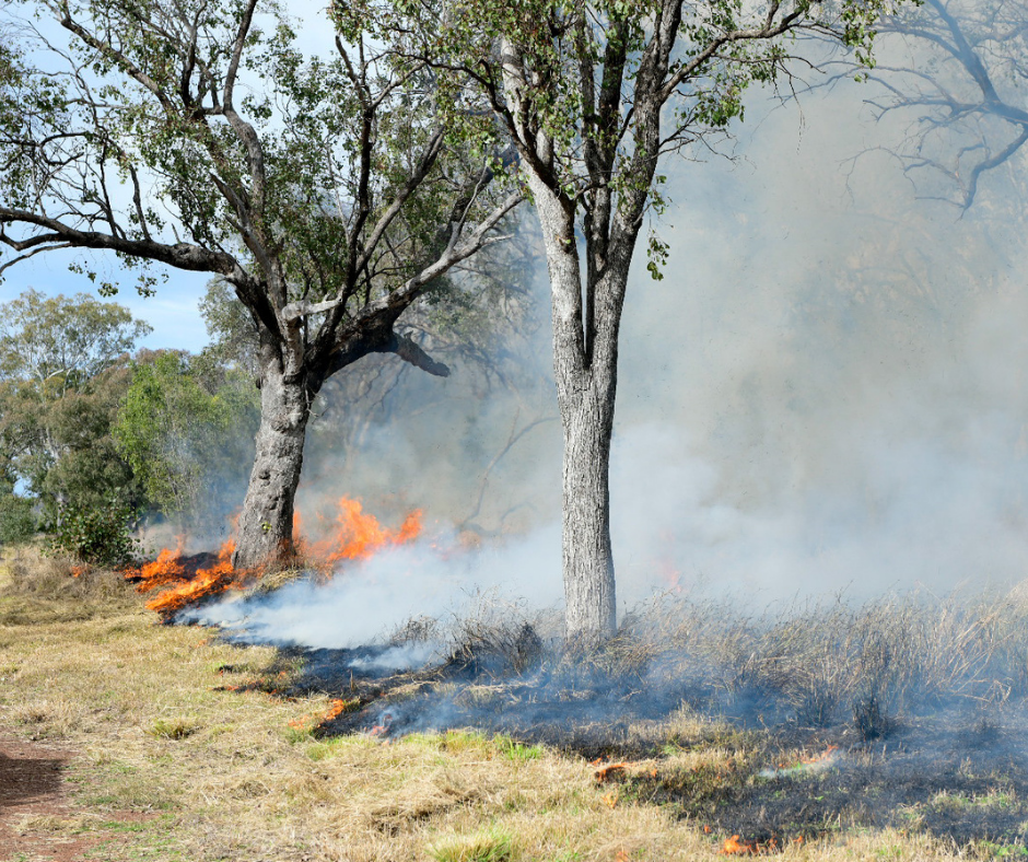 2-Mar-31-2026-01-09-51-5817-AM