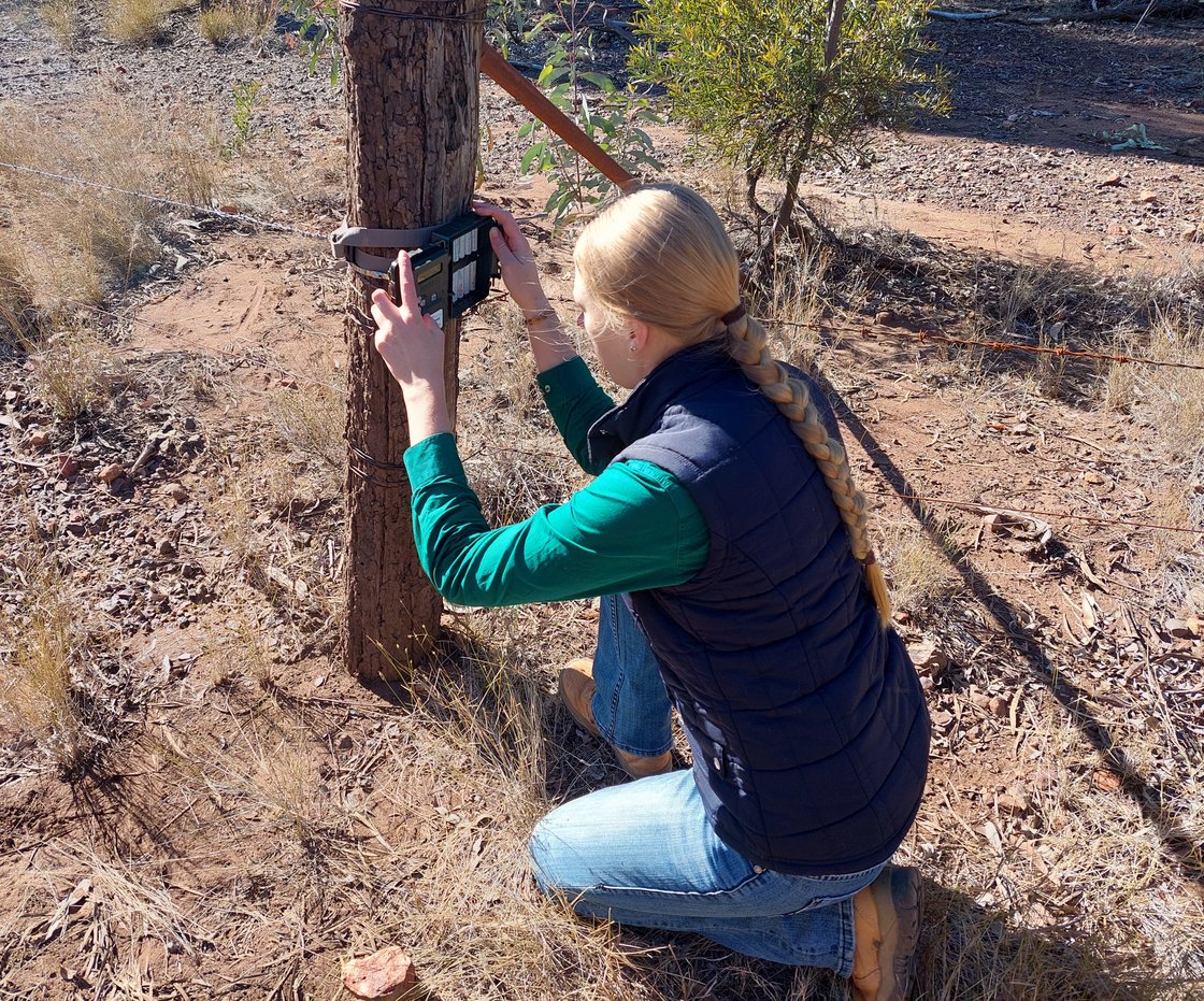 2aa14256-8729-433b-b6d8-ae72a8b6a864