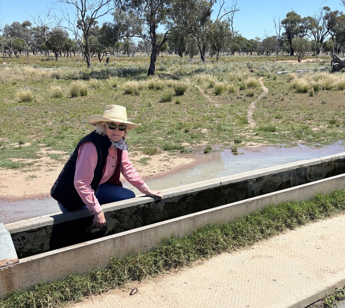 Trish trough cleaning-1