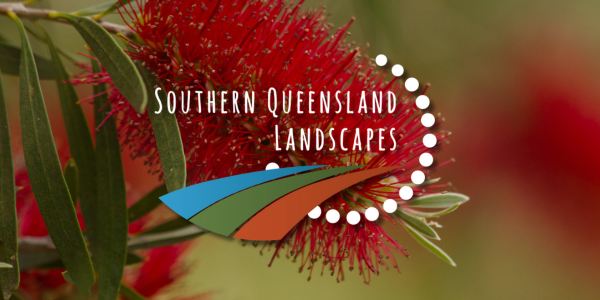 Untitled (600 x 300 px) (3)-1