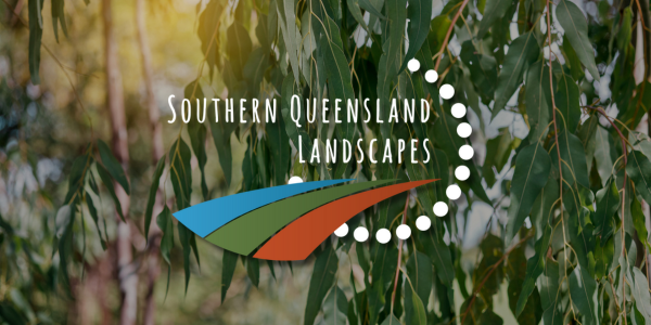 Untitled (600 x 300 px) (4)