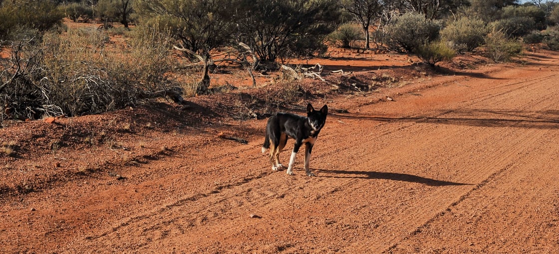 c3bfb5_59b87a0862a4465ba0e8b3d1dd0111d8~mv2